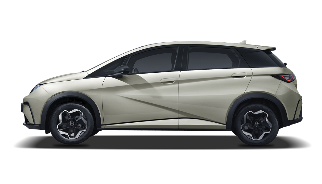 비야디 BYD DOLPHIN